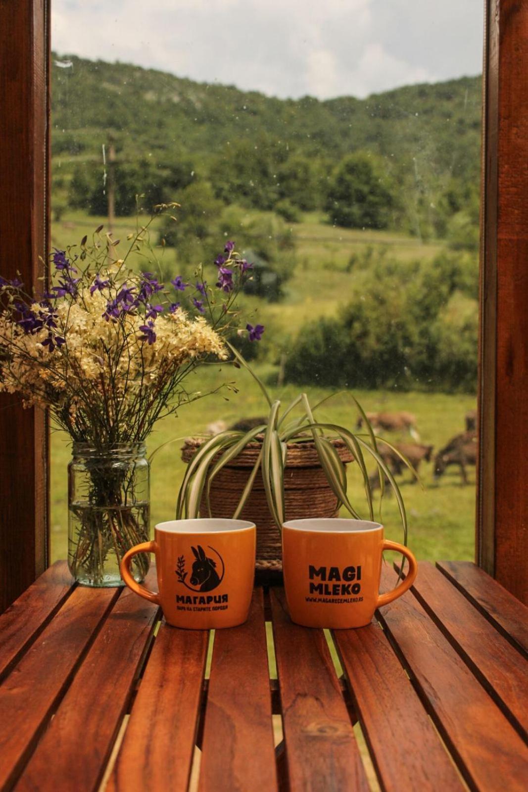 Magarija 1 Dimitrovgrad