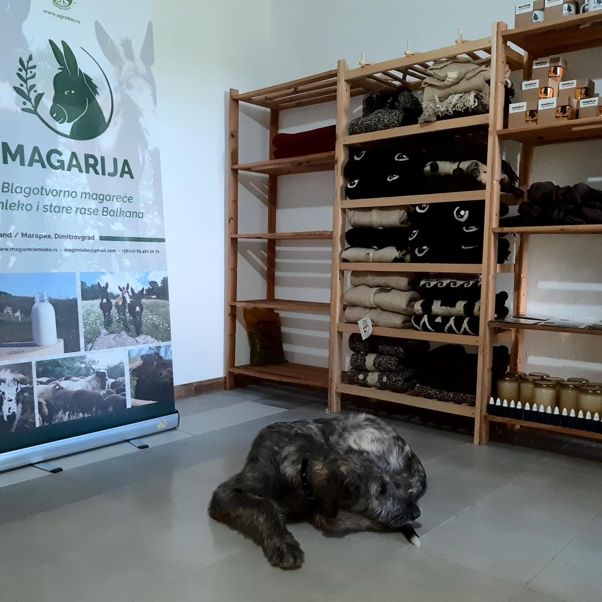 Magarija 1 Apartment *