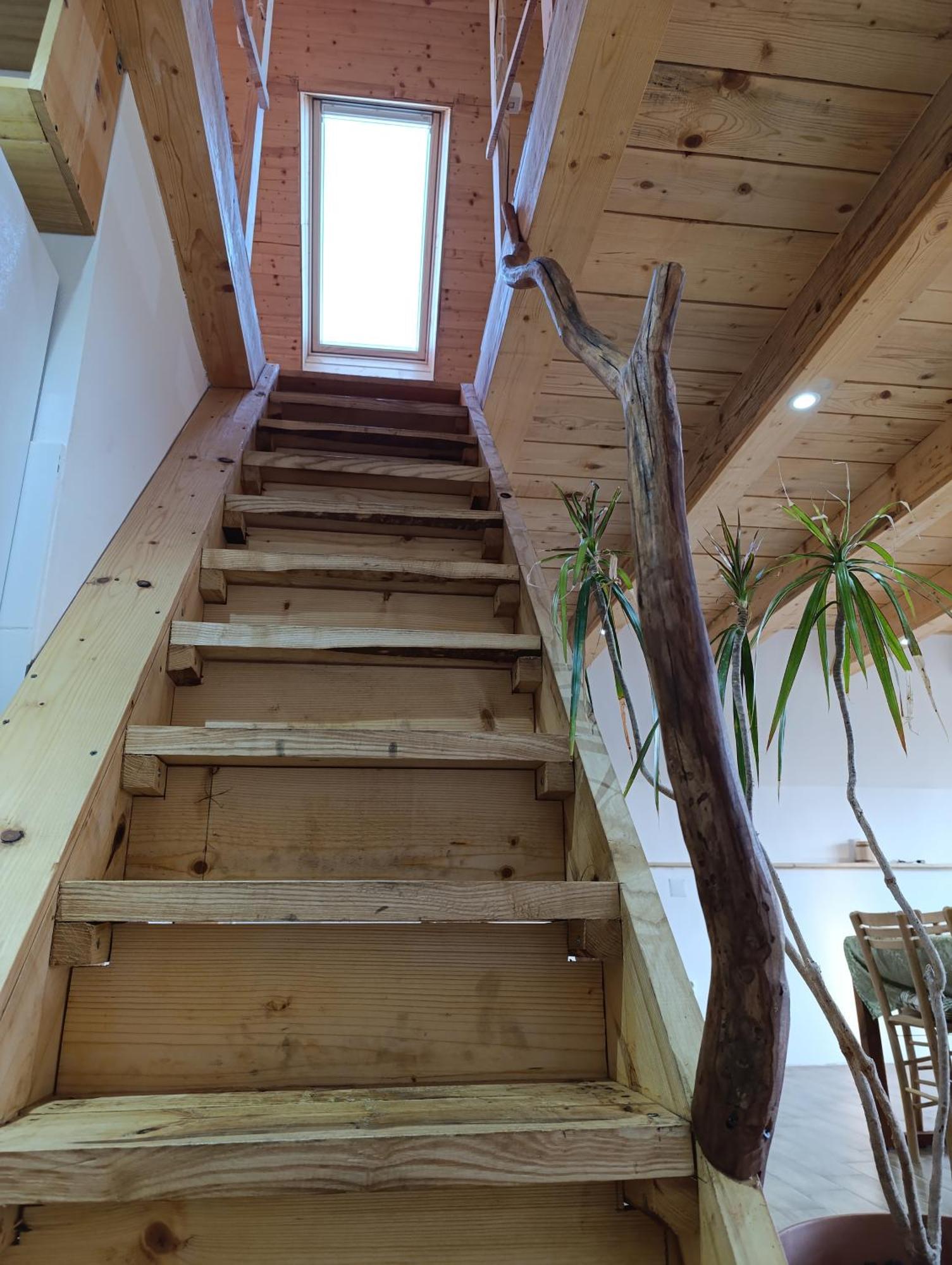 Apartment Magarija 1 Dimitrovgrad